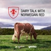 Dairy talk with Norwegian Red artwork