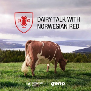 Dairy talk with Norwegian Red