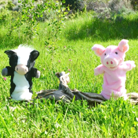 Pinkie The Pig Podcast podcast