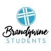 Brandywine Students artwork