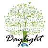 Daylight Meditations - CFO North America