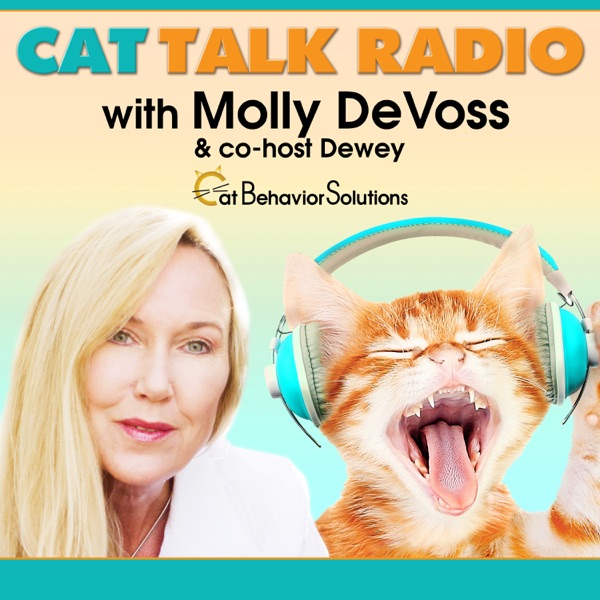 Cat Talk Radio Artwork