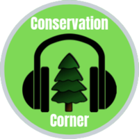 Honoring Conservation Leaders Series: Gifford Pinchot