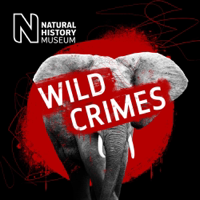 Wild Crimes podcast