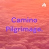 Camino Pilgrimage. artwork