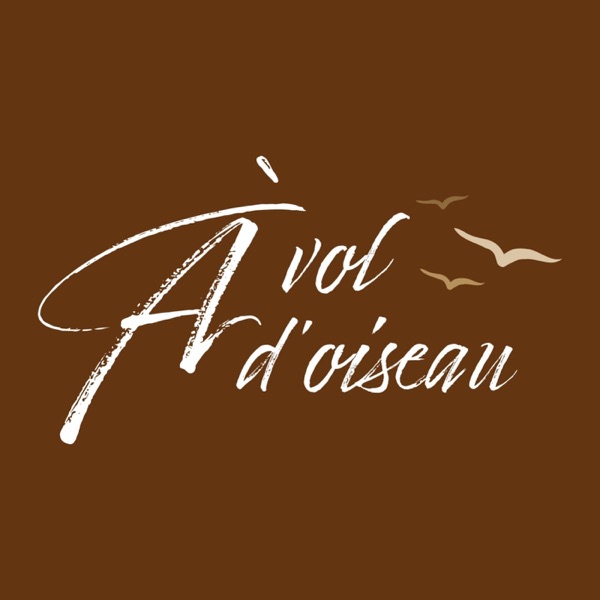 A Vol d’oiseau