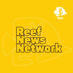 RNN161 - Reef Keepers Round Table #3 (2021)