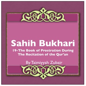 Sahih Bukhari The Book Of Prostration During The Recitation Of The Quran