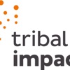 B2B Social Growth: Presented By Tribal Impact artwork