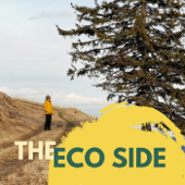 The Eco Side - Mossy Earth