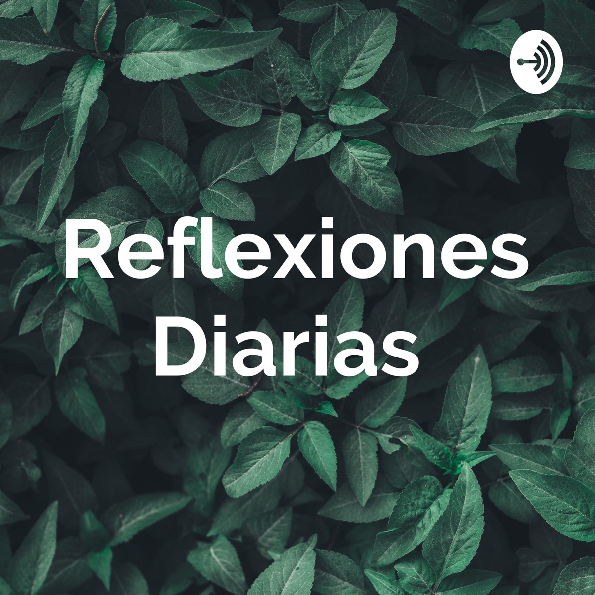 Reflexiones Diarias – Podcast – Podtail
