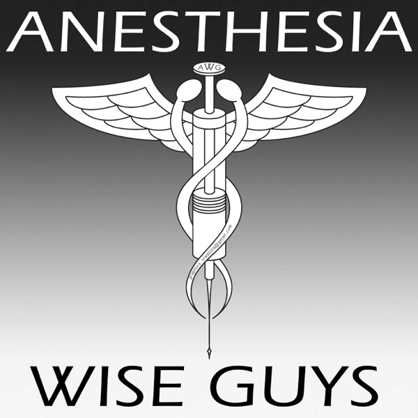 anesthesiawiseguys's podcast