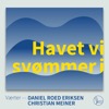 Havet vi svømmer i