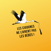 Les Cigognes ne livrent pas les bébés - lescigognes_ansfl