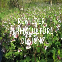 REWILDER PERMACULTURE DESIGN