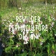Stepping Stones and New Beginnings - Rewilder Permaculture