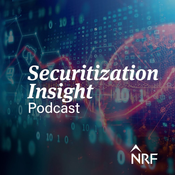 Securitization Insight Artwork