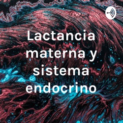 Lactancia materna y sistema endocrino