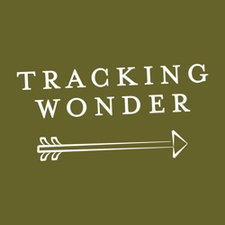 Tracking Wonder Podcast