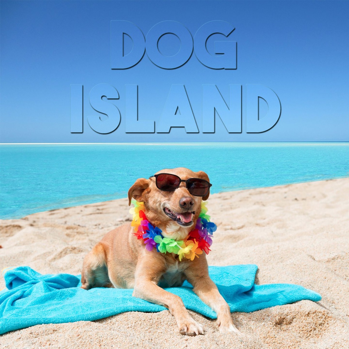 Dog Island Podcast Podtail