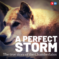 A Perfect Storm: The True Story of The Chamberlains podcast