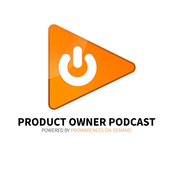 Product Owner Perspective