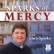Mercy's Gaze: 100 Readings from Scripture & the Diary of St. Faustina