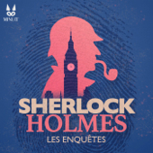 SHERLOCK HOLMES • Les enquêtes - Studio Minuit
