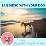 San Diego with Your Dog