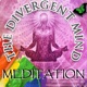 Divergent Meditation