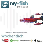 my-fish.org – Aus Freude an der Aquaristik (Aus Freude an der Aquaristik Podcast) - my-fish.org