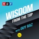 Wisdom From The Top with Guy Raz