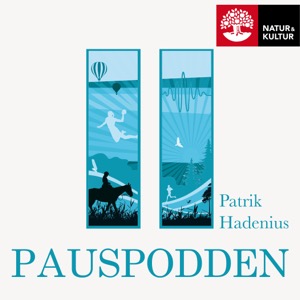 Pauspodden
