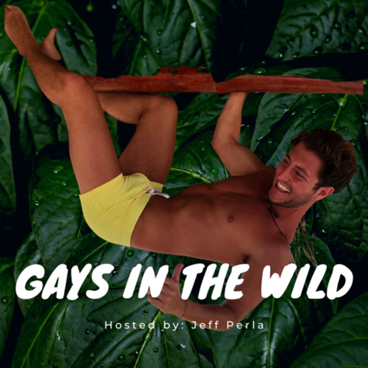 Gays In The Wild – Podcast – Podtail