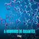 A hombros de gigantes - Científicos en la Administración para mejorar las políticas del gobierno - 22/06/24