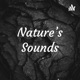 Nature's Sounds