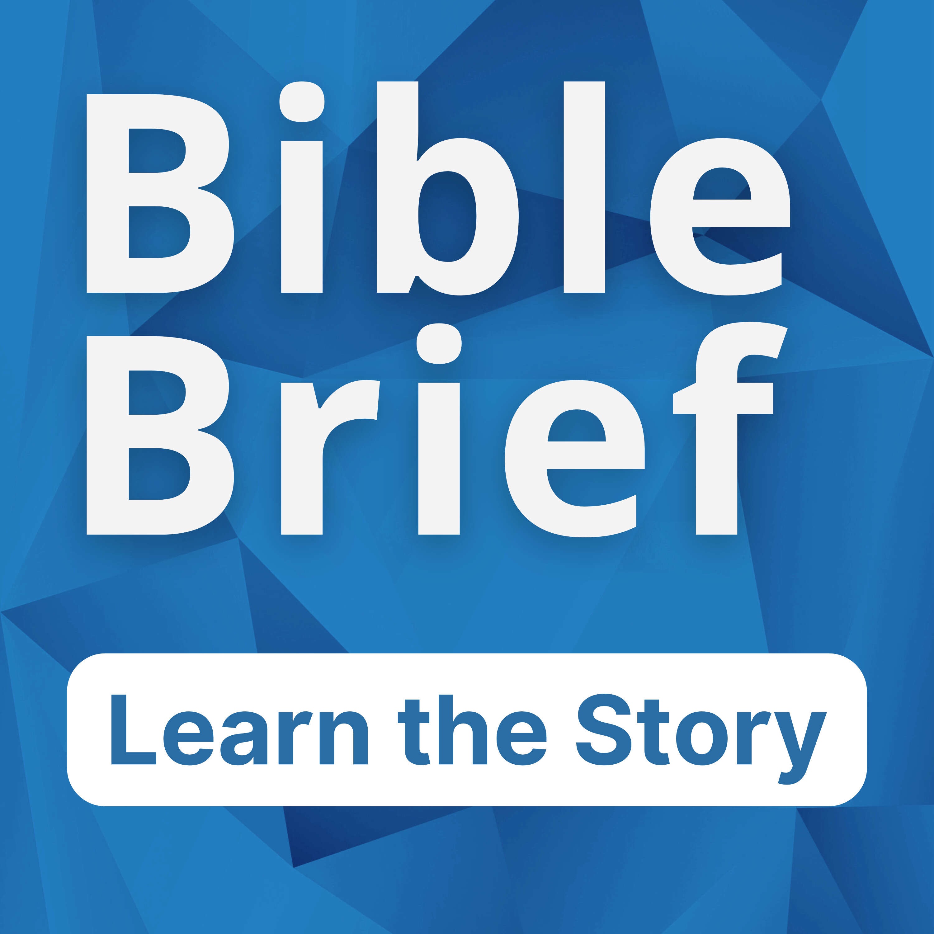 Walk 62 - The Donkey Speaks, Pt. 2 – Bible Brief | Learn the Story ...