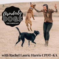 164. Decompression Walks, w/ Sarah Stremming