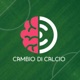 CALCIO | Il calcio sistemico di formazione, palla a Domenico Gualtieri (1 di 2)