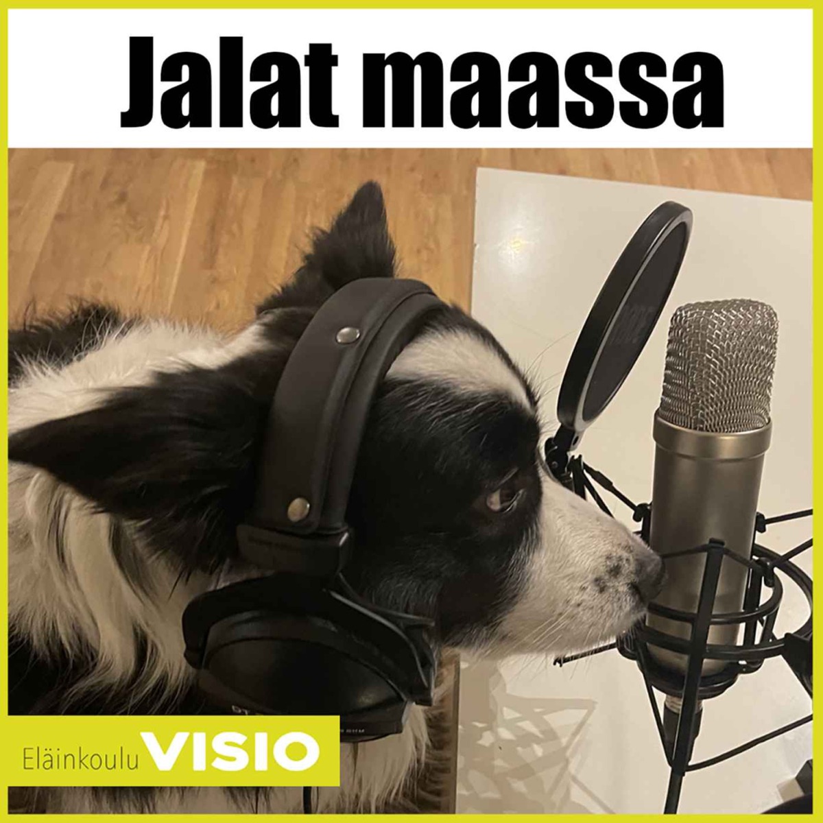 Jalat maassa - Podcast – Podtail