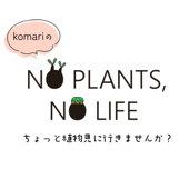 komari の NO PLANTS, NO LIFE ちょっと植物見に行きませんか？ - komari