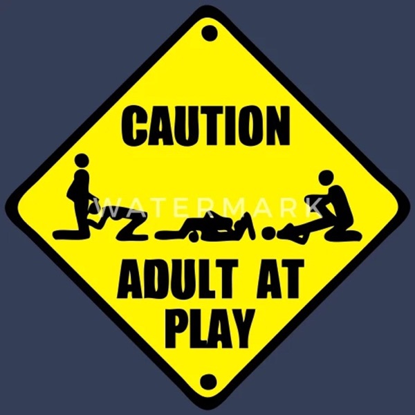 Artwork for Sex is how adults play