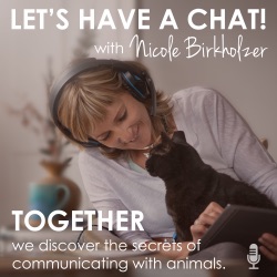 #93 How Animals Curb Our Internal Chatter