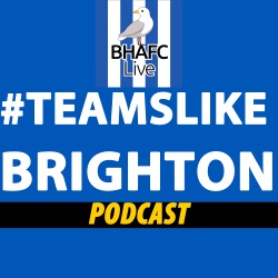 Teams Like Brighton