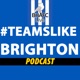 Teams Like Brighton: Tough Toffees and Three Little Birds