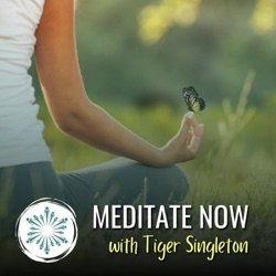 Meditate Now - Guided Journeys with Tiger Singleton