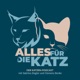 Folge 68 - Katzen an die Macht