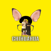 Chihuahua comicità - Chihuahua Show