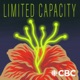 Limited Capacity