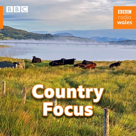 Country Focus